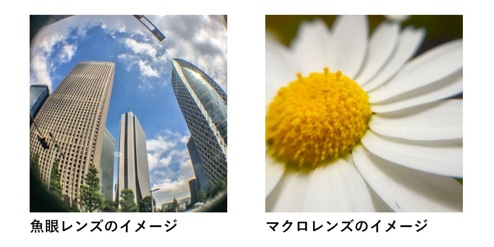 魚眼レンズとマクロレンズのイメージ 魚眼レンズとマクロレンズのイメージ